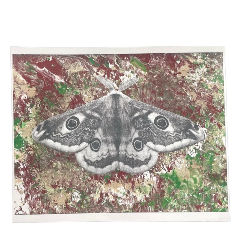 Moth artwork print 11.5x8.5”